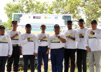 PLN UIP MPA Wujudkan Komitmen Lingkungan Melalui Penanaman Pohon di Kabupaten Jayapura