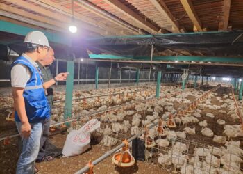Utamakan Daya Beli Masyarakat, Pemerintah Jaga Tarif Listrik Tetap Terjangkau Sepanjang 2025