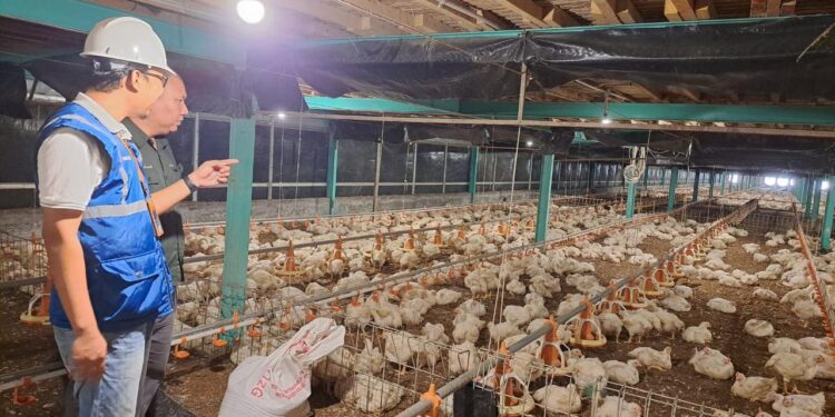 Utamakan Daya Beli Masyarakat, Pemerintah Jaga Tarif Listrik Tetap Terjangkau Sepanjang 2025