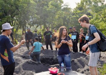 PLN UIP MPA Libatkan Relawan Internasional Dukung Konservasi Burung Mamoa