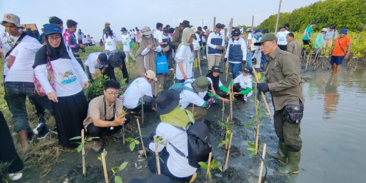 Bersama Warga, PLN Rehabilitasi Mangrove Lindungi Pesisir Utara Jateng dari Banjir Rob