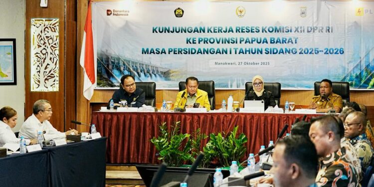 Dukungan DPR RI dan Kementerian ESDM Perkuat Optimisme PLN UIP MPA Akselerasi Pembangunan Infrastruktur Ketenagalistrikan di Papua Barat