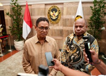 Gubernur MDF Bertemu Menteri ESDM RI Bahas Percepatan Pembangunan di Provinsi Papua
