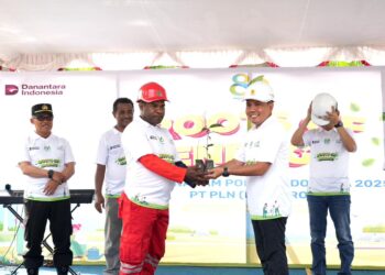 PLN UIP MPA Turut Gerakkan Aksi Penghijauan Lewat Program Roots of Energy