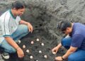 PLN UIP MPA Perkuat Konservasi dan Wisata Edukasi Burung Gosong Melalui Program TJSL