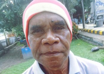 Sorotan Tajam DOB Papua Utara: Siap Mandiri atau Tambah Ketergantungan Fiskal ?