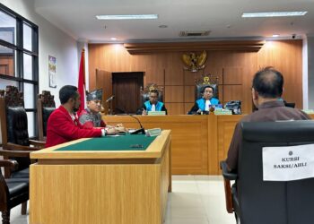 RUPTL 2025 – 2034 – Ketika Kedaulatan Energi Dijual ke Swasta?