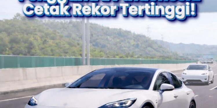 Dari Lahan Kering ke Harapan Baru: Cerita Perubahan Kelompok Tani Waibron