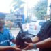 Momentum Hari Bakti Rimbawan ke-43, Dinas Kehutanan dan Lingkungan Hidup Provinsi Papua Komitmen Memperkuat Perlindungan Hutan Papua