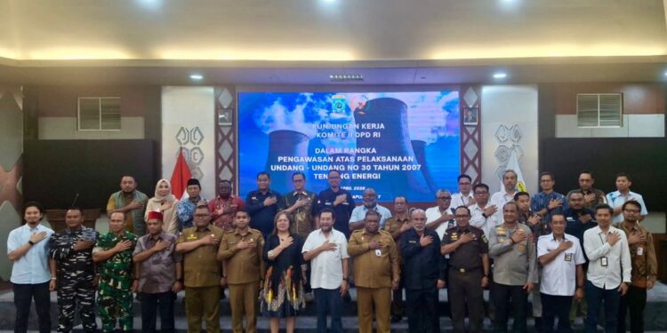Dialog Bersama DPD RI dan Pemprov Papua Barat, PLN UIP MPA Paparkan Peta Jalan Ketahanan Energi Hingga 2030