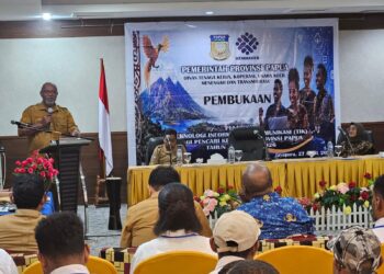 Pemprov Papua Perkuat Kompetensi OAP, Pelatihan TIK Jadi Strategi Tekan Pengangguran