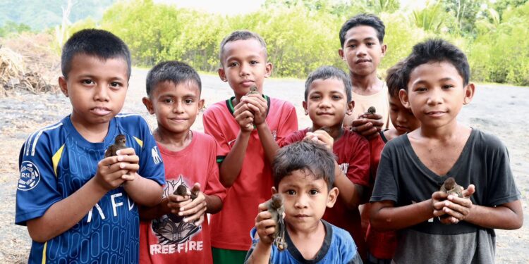 Dari Pesisir Halmahera, Harapan Burung Mamoa Tumbuh Bersama Masyarakat dan PLN