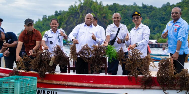 Kunker Gubernur Fakhiri di Kampung Sarawandori Yapen, Dorong Sentra Rumput Laut Hingga Siapkan Pabrik Pasar untuk Petani