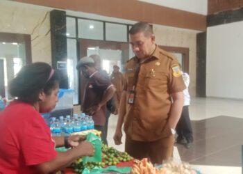 Rusdianto Abu Apresiasi PAPUA JOB FAIR 2026, Kesempatan dan Peluang Kerja Mengurangi Angka Pengangguran di Papua