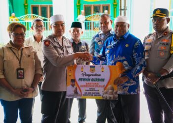 Kunker Gubernur Papua di Supiori : Sumbang Hewan Kurban di Masjid An-Nur Supiori, Berpesan Jaga Toleransi