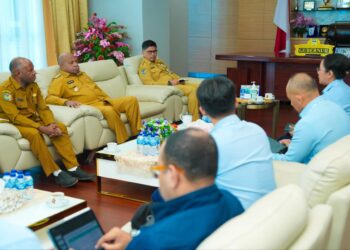Manajemen RSUP Jayapura Bertemu Gubernur Papua Laporkan Perkembangan Pelayanan Selama Setahun  