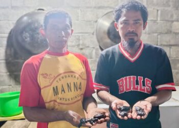 Tak Hanya Selamatkan Mamoa, Konservasi di Pantai Wauwo Kini Hadirkan Harapan Baru bagi Penyu dan Ekosistem Pesisir Halmahera