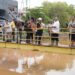 Gubernur MDF Tinjau Titik Banjir, Siapkan Normalisasi Kali Acai dan Penanganan Banjir di Jayapura